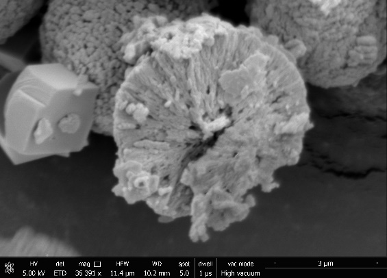 SEM image showing the radiant polycrystalline structure of vaterite.