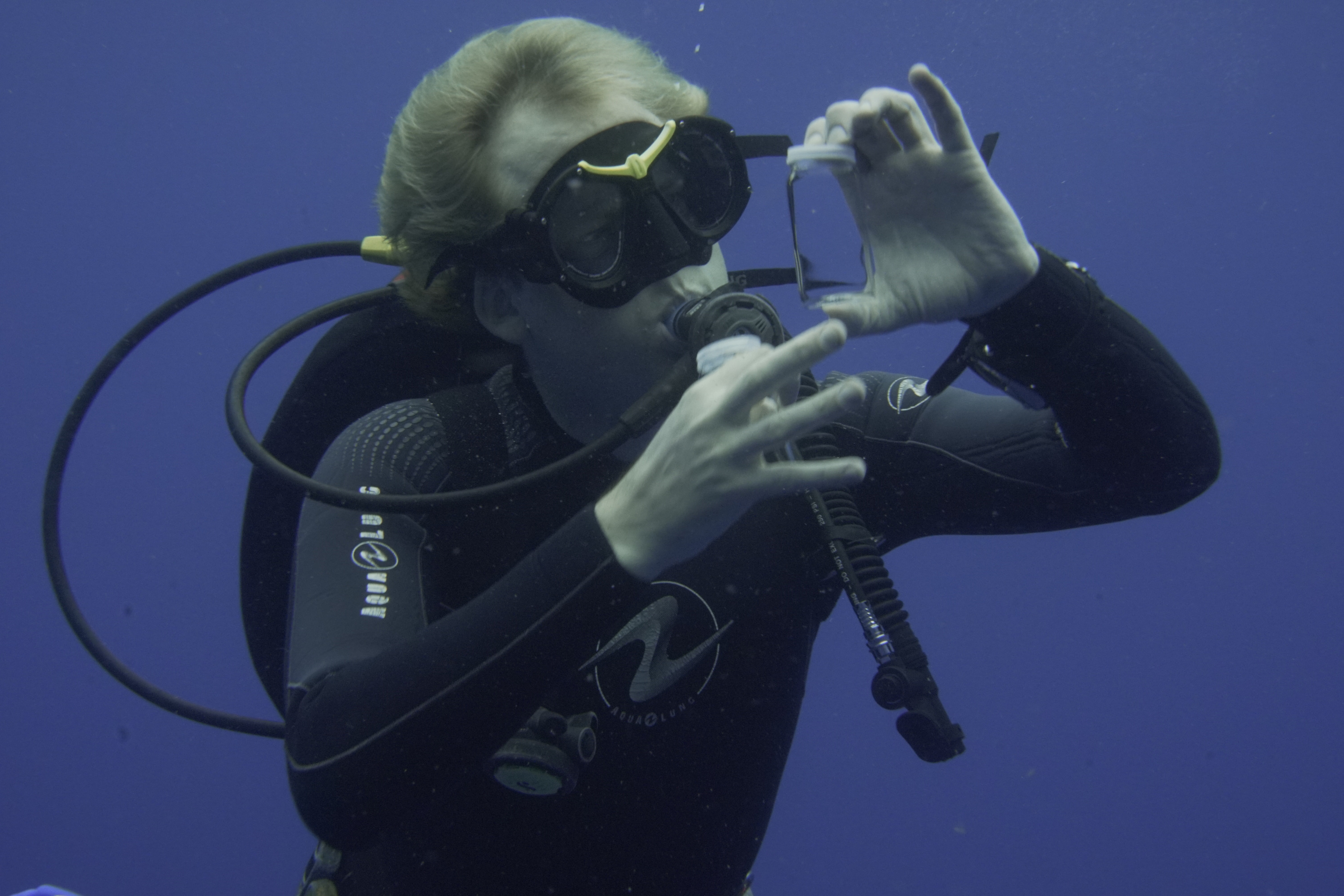 a diver catching a foraminifera